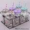 6pcs glass mason jar in a metal rack