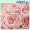Rose flower wholesale fresh preserved flower,wedding decoration