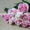 Supply various colors fresh cut flowers light up rose from plants base