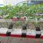 15CM*15CM*15CM Other Heat Insulation Materials Type Agricultural Rock Wool for Greenhouse Planting