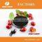 humic acid bio organic fertilizer powder/flake/granule