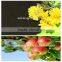 Pure seaweed powder fertilizer