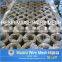 Titanium mesh