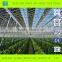 Multi-Span Glass Greenhouse for Agricultural Seeding