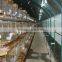 PE film greenhouse