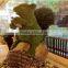 artificial boxwood fish/artificial boxwood topiary animals