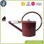 Zinc plant hand painted mini metal watering can