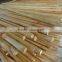 1200mm x 22mm Varnished Wooden Mop Handle