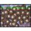 Low chromium alloy microspheres