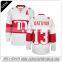 2017 custom dye sublimation ice hockey jersey, wholesale blank hockey jersey