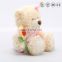 custom 20cm small pink plush bear bouquet teddy
