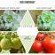 25W 45W Full Spectrum Led Grow Lights For Indoor Plants Greenhouse Farming