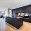 Modern Custom Kitchen cabinetry Matte Black Kitchen Cabinets with island
