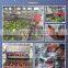 500kg/h vegetable salad fruit washing drying production line with CE
