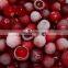 Sinocharm BRC-A Approved  IQF Wild Lingonberry Frozen Lingonberry