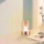 DC12V Warm white 3000K Candle Shaped Night Light USB Touch Control Home smart candle led strip light for room