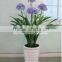 the evergreen leaves large leaf artificial green plants and artificial flowers for indoor decoration