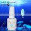Caixuan Provided Customized Gel Polish , 2015 Nail Polish 1kg, Nail polish Uv Gel Color