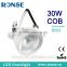 Ronse 30W rotated led cob trunk light factory price high quality(RS-Q501)