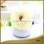 OEM reed wooden flower china diffuser gift sets for home decoration
