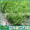 W Type 50mm or 60mm artificial turf soccer