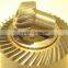 Brass Mini Worm Gear