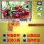 5.0 inch 800*480, ILI5960/ILI6122, 16/18/24 bit RGB interface, high brightness TFT LCD with touch panel, Stock for sale