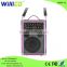Hot sale professional usb/fm radio control mini portable speaker