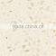 Light Grey Single Quartz Stone Top