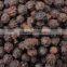 Black Pepper/ Kali Mirchi Whole & Powder