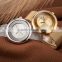 OEM custom your brand luxury IPG gold mesh stainless steel bracelet watch for women