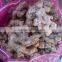 Vietnam Fresh ginger
