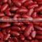 British Type Red Kidney Beans
