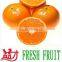 Best price Fresh Navel Orange