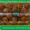 Chinese Citrus Mandarin Orange