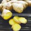 2016 air dried bright yellow ginger China