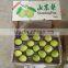 Shandong Pear