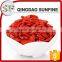 The red sweet Ningxia goji berry in high quality