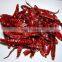 HOT SPICY RED CHILI EXPORTER