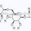 GMP Certified Factory, Natural Apricot Extract Amygdalin 98%