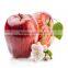 crunchy and sweet apple chips bulk wholesale dried fruit