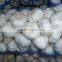 China Fresh Garlic in Hot Sale