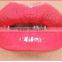 Super Charming Cosmetics Lipstick Wholesale Matte Waterproof Lipstick With Fabulous Smell,Multi-colored Effect