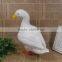 Full body birds ornaments taxidermy figurine garden falcon decoy