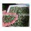 Hot selling pellet machine