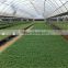 high quality and new cooling pad for flower greenhouse system equipment