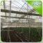 agricultural poly film greenhouse