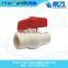 cpvc ball valve and cpvc pipe fittings customers' best choice