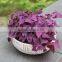 cheap flower stands small round flower pots planters for sale