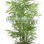SJ12001159 Garden ornamental plastic palm tree with steel stand